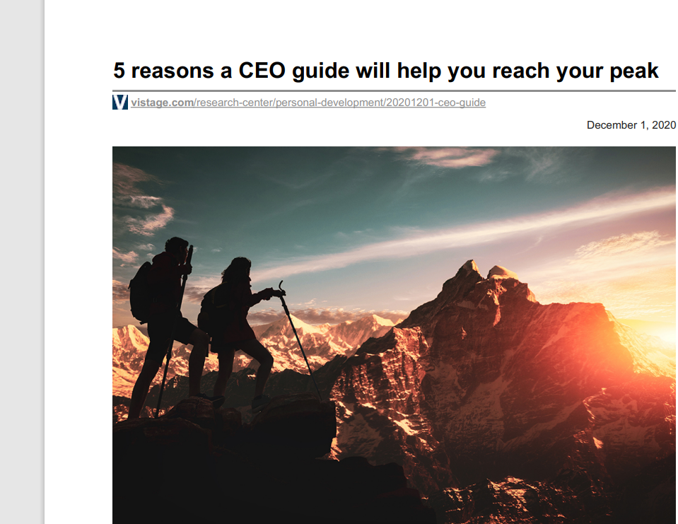 5 reasons a CEO guide will help you reach your peak