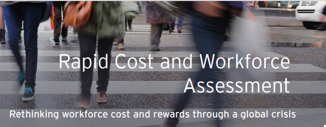 Rapid Cost and Workforce Assessment
