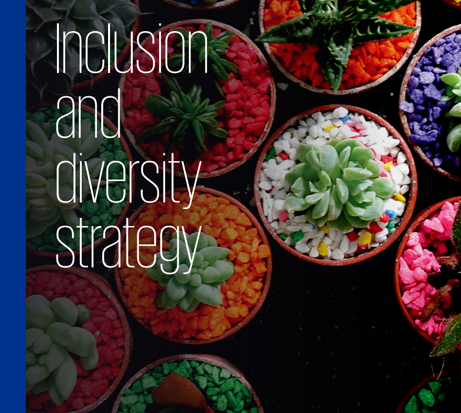 Inclusion and diversity strategy