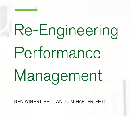 Re-Engineering Performance Management